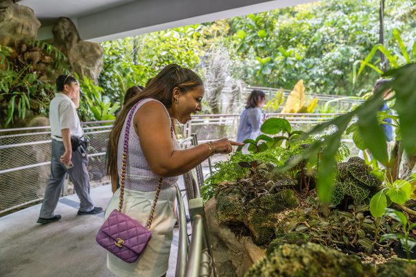 knights_family_singapore_travel23