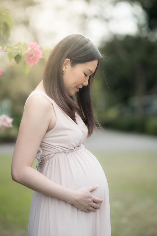 rjg_dsc2903_33247203018_o