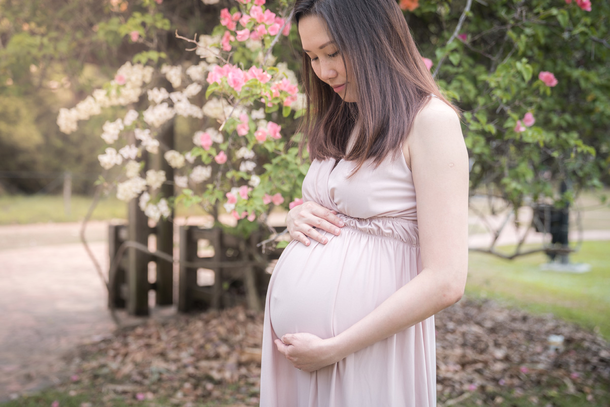 rjg_dsc2962_32180611997_o