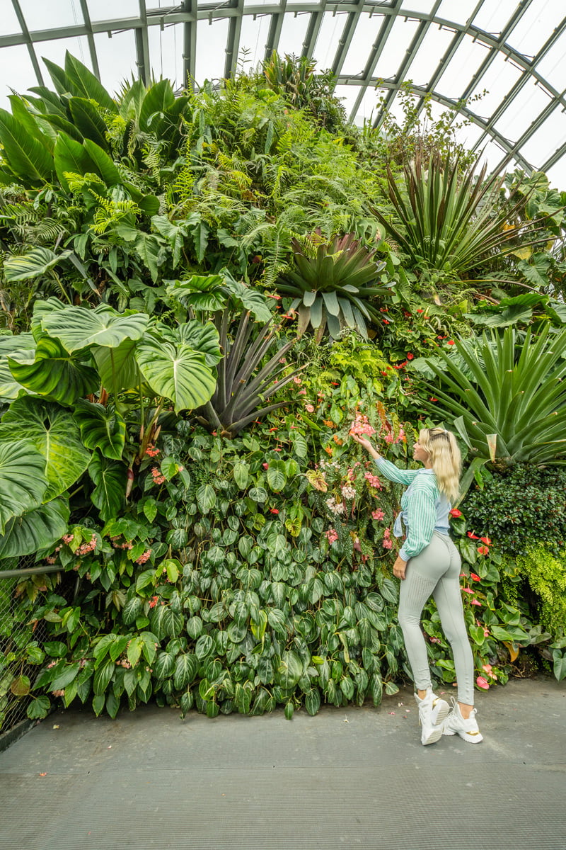 sommer_shiels_influencer5