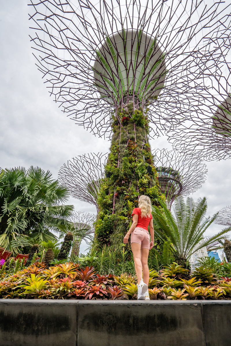 sommer_shiels_influencer9