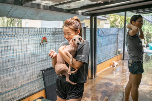 Discovery_Impact_Day13