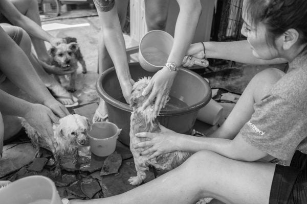 Discovery_Impact_Day15