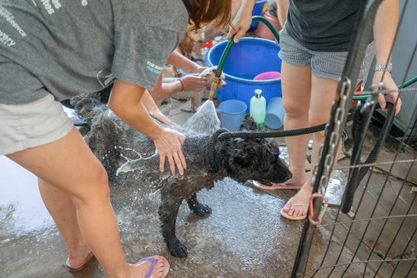 Discovery_Impact_Day16