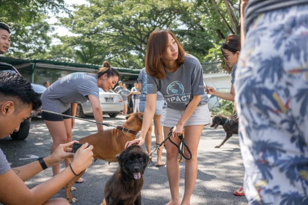 Discovery_Impact_Day2