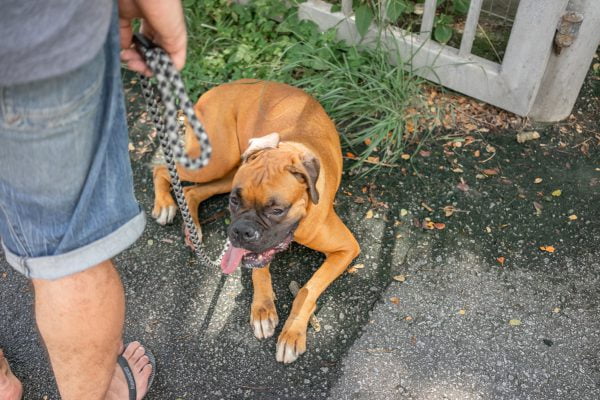 Discovery_Impact_Day20