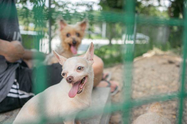 Discovery_Impact_Day22