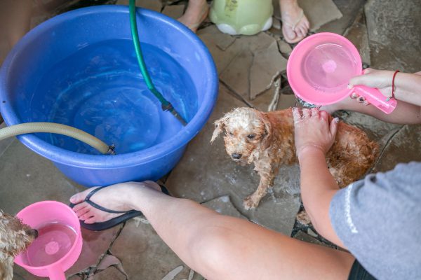 Discovery_Impact_Day26