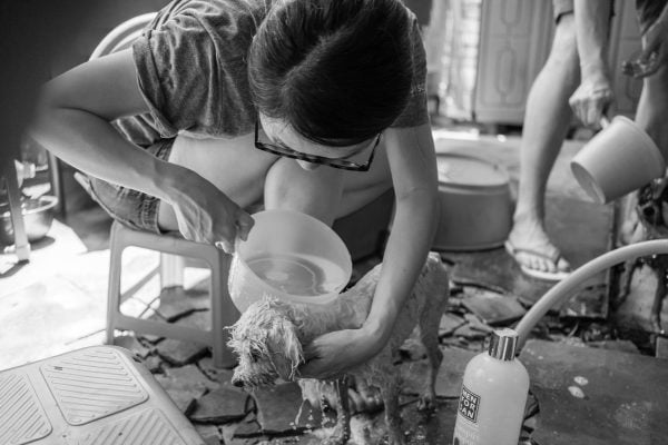 Discovery_Impact_Day28