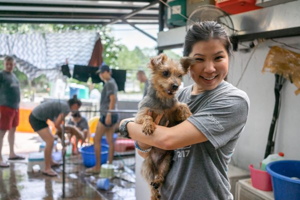 Discovery_Impact_Day29