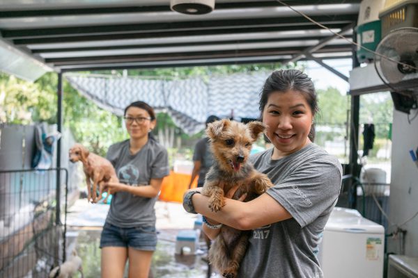 Discovery_Impact_Day30