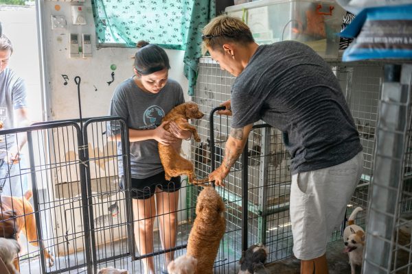 Discovery_Impact_Day31