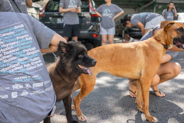 Discovery_Impact_Day6