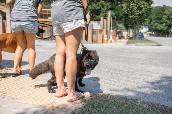 Discovery_Impact_Day9