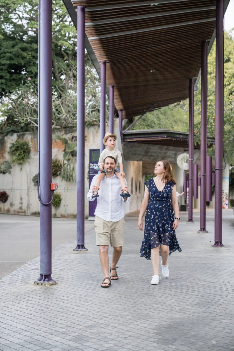 anthonys-family-gardens-cloud-forest14