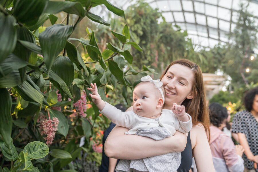 anthonys-family-gardens-cloud-forest26