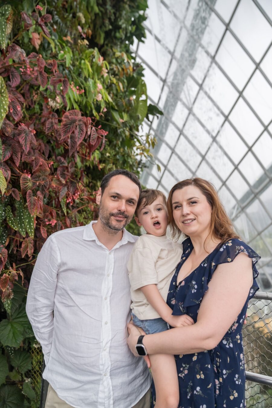 anthonys-family-gardens-cloud-forest32