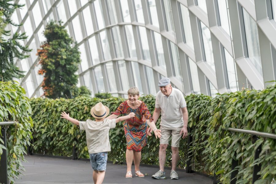 anthonys-family-gardens-cloud-forest38