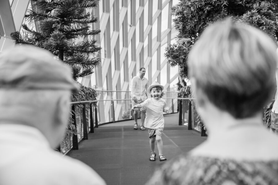 anthonys-family-gardens-cloud-forest40