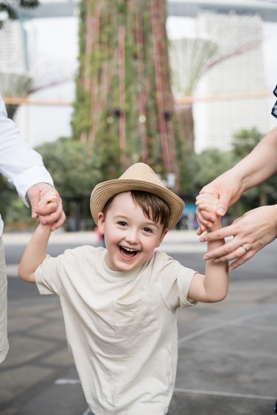 anthonys-family-gardens-cloud-forest6