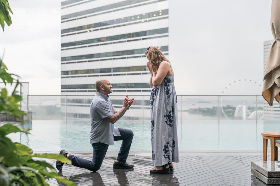 amar_victoria_proposal_mr_stork2