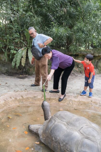 ruiyin_parents_day_zoo11
