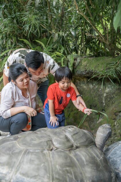 ruiyin_parents_day_zoo13