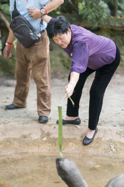 ruiyin_parents_day_zoo44