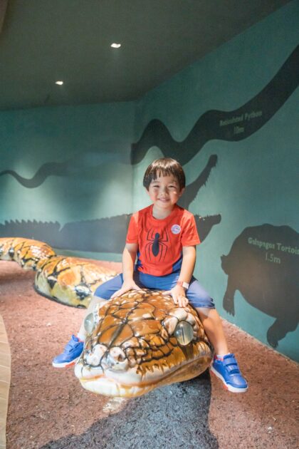 ruiyin_parents_day_zoo6