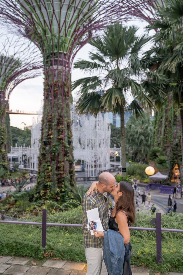 shalev-proposal-supertree-grove10