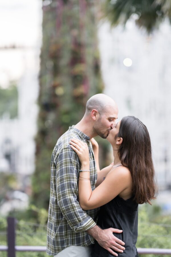 shalev-proposal-supertree-grove11