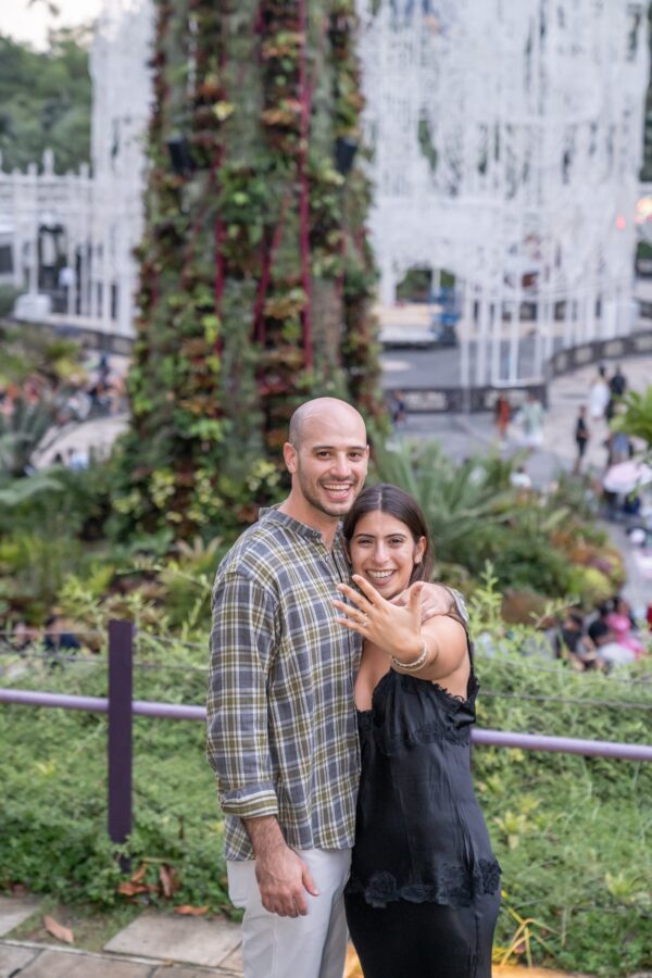 shalev-proposal-supertree-grove16