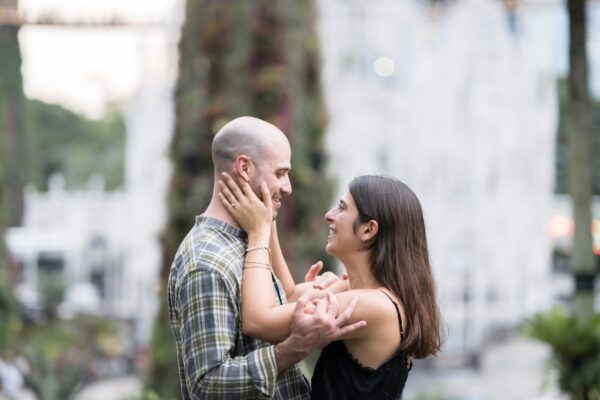 shalev-proposal-supertree-grove17