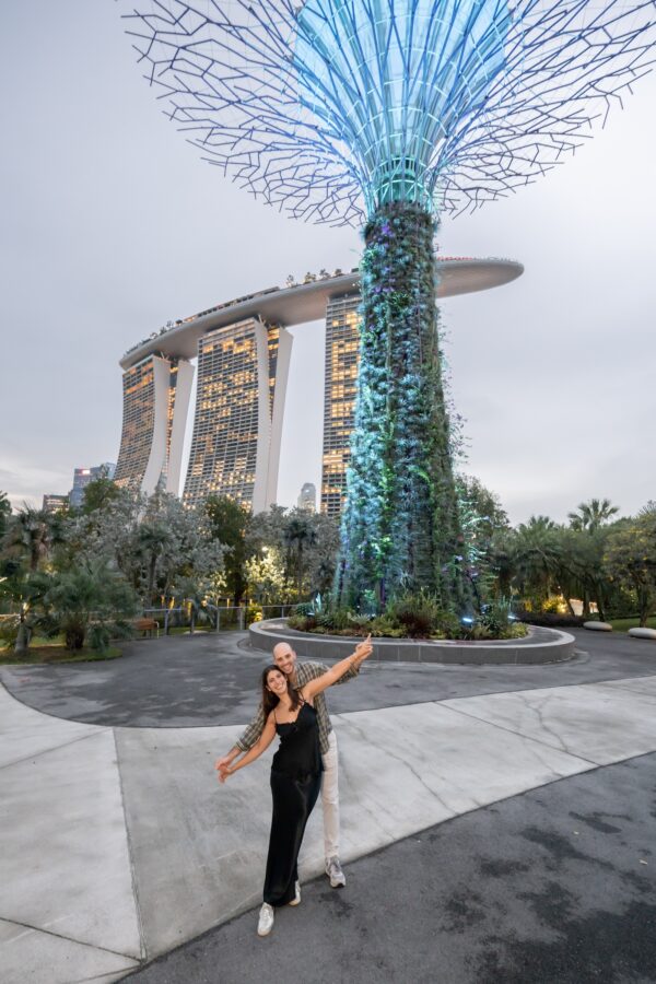 shalev-proposal-supertree-grove24