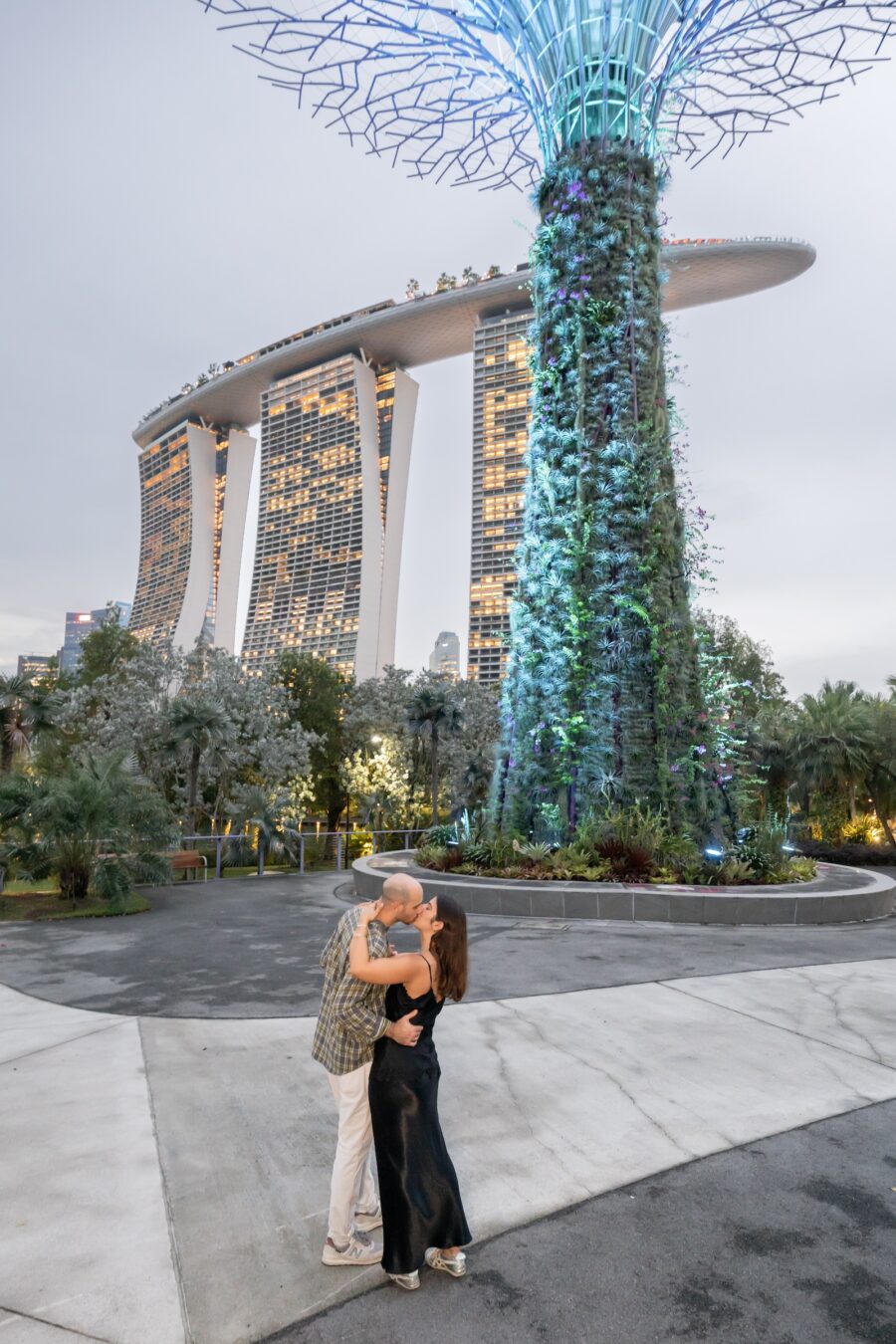 shalev-proposal-supertree-grove25