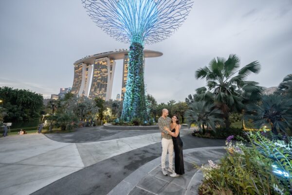 shalev-proposal-supertree-grove26