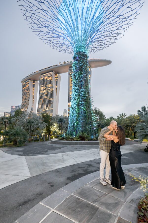 shalev-proposal-supertree-grove28