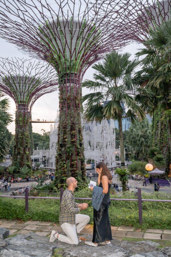 shalev-proposal-supertree-grove7