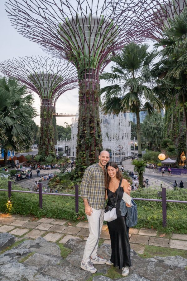 shalev-proposal-supertree-grove8