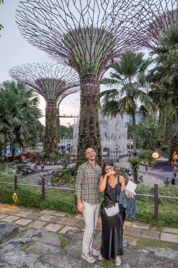 shalev-proposal-supertree-grove9