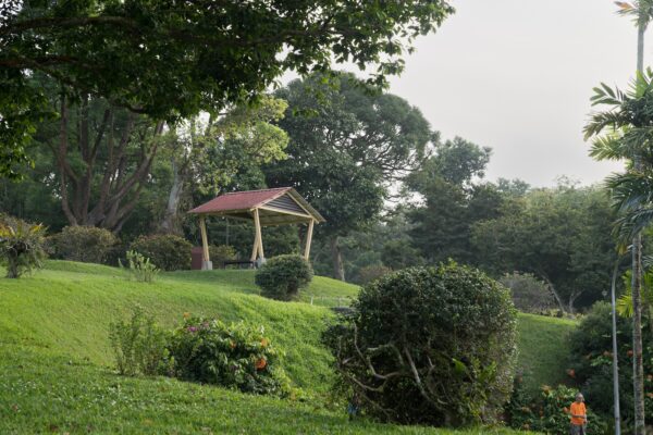 anton-eva-proposal-lower-peirce2