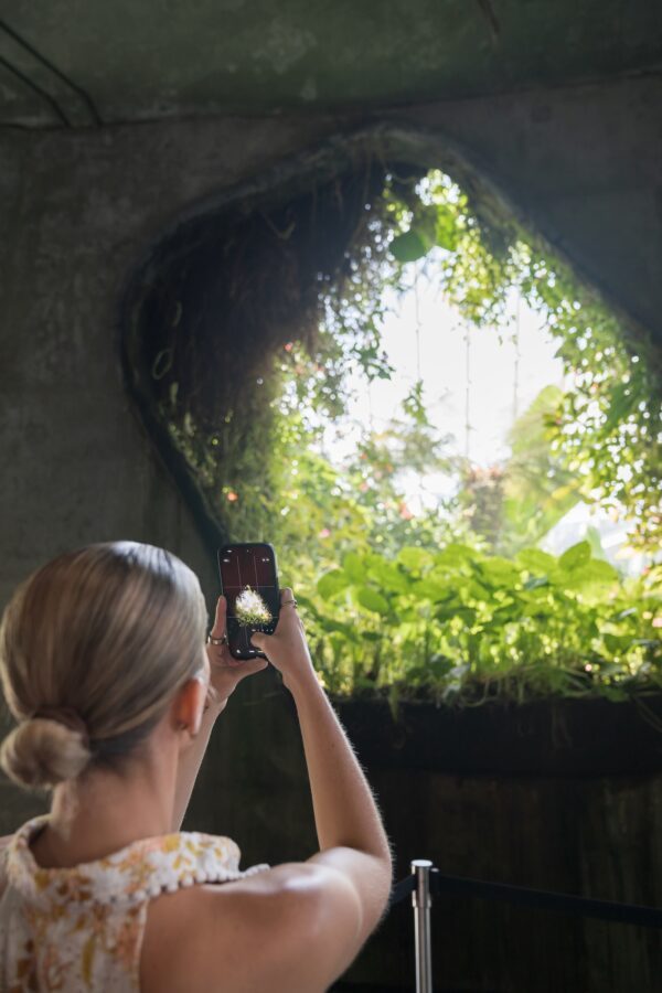 samantha-faith-mbs-gardens6