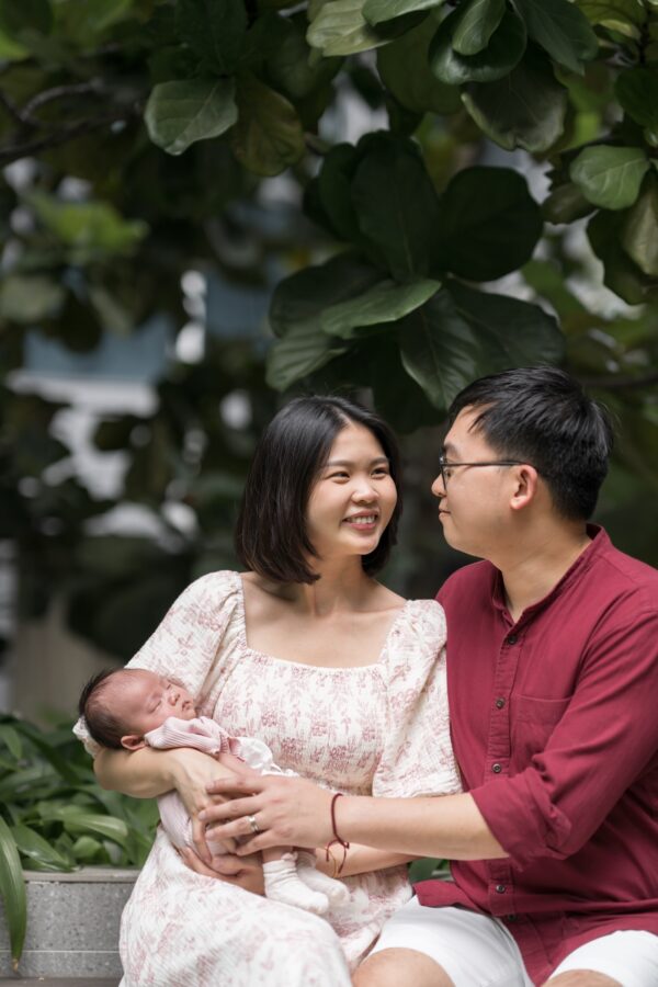 lyns-family-alps-residence1