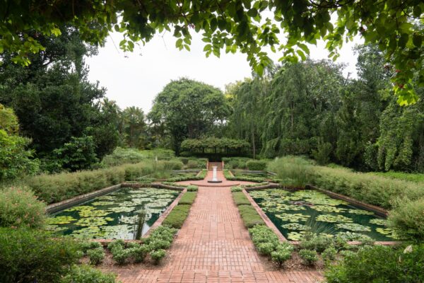ethan-marissa-proposal-singapore-botanic-gardens2